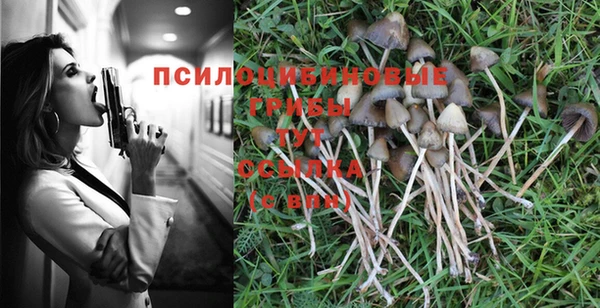 спайс Майский